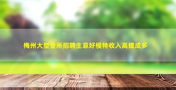 梅州大型会所招聘生意好模特收入高提成多